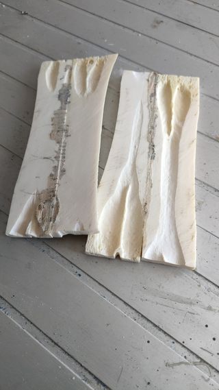 Venta de hueso de toro para guitarra