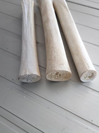 Venta de hueso de toro para guitarra