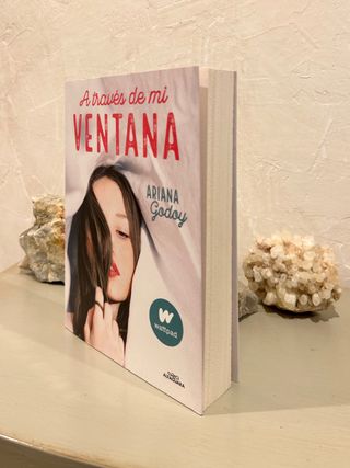 A través de mi ventana - Ariana Godoy