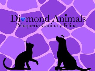 Curso peluquería peluquería canina y felina