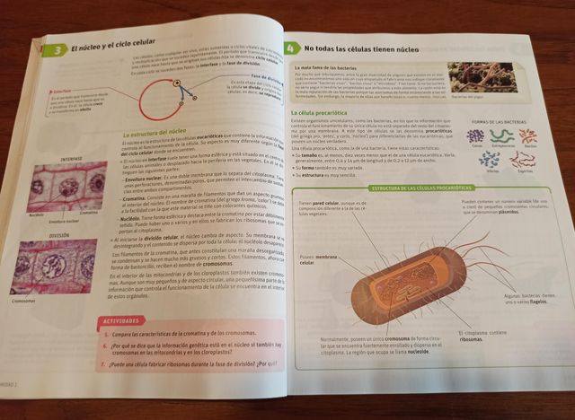 Libro de BIOLOGÍA Y GEOLOGÍA de 4º de la ESO