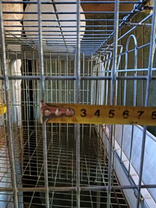 Jaula de animales