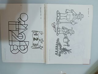 Boing boing libro guia