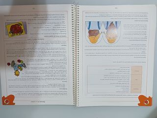 Boing boing libro guia