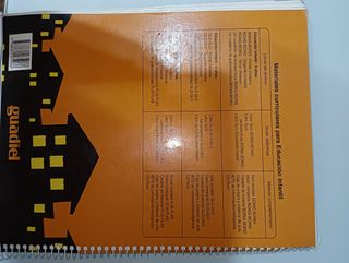 Boing boing libro guia