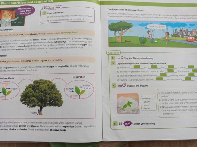 Libros Natural Sciences 4 primaria