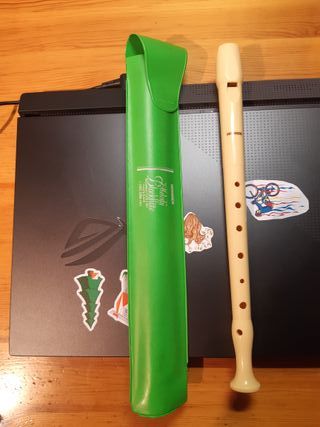 Flauta colegio Hohner