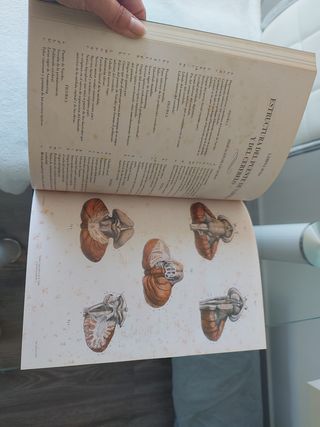 Libro Anatomia del Hombre