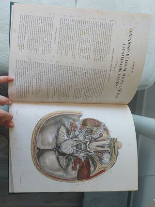 Libro Anatomia del Hombre
