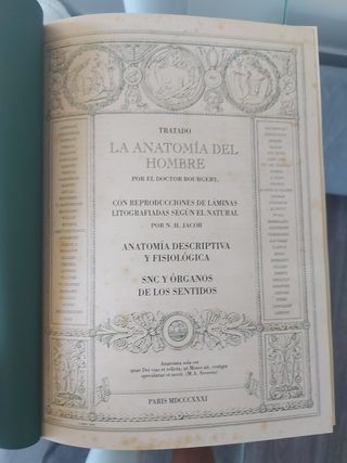Libro Anatomia del Hombre