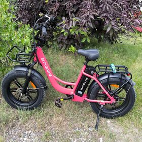 Bicicleta electrica ebike Engwe L20