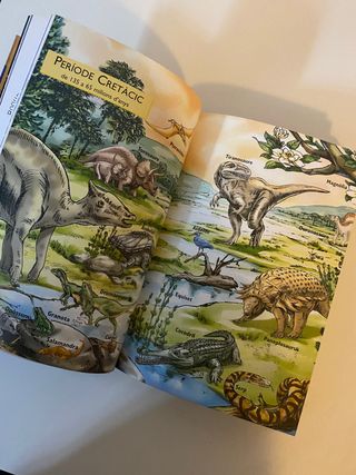 Geronimo Stilton Viatge en el temps