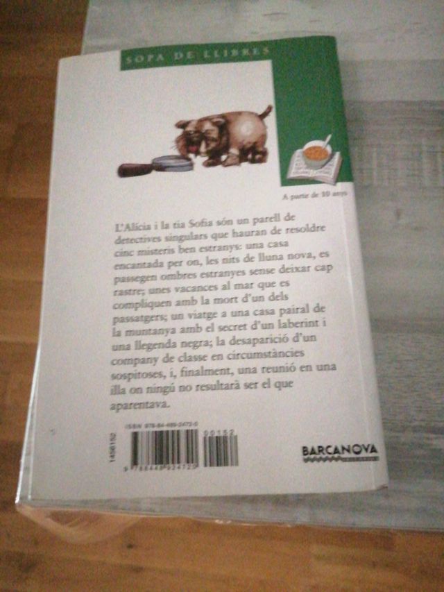 Libro de lectura cinc viatges pel miste