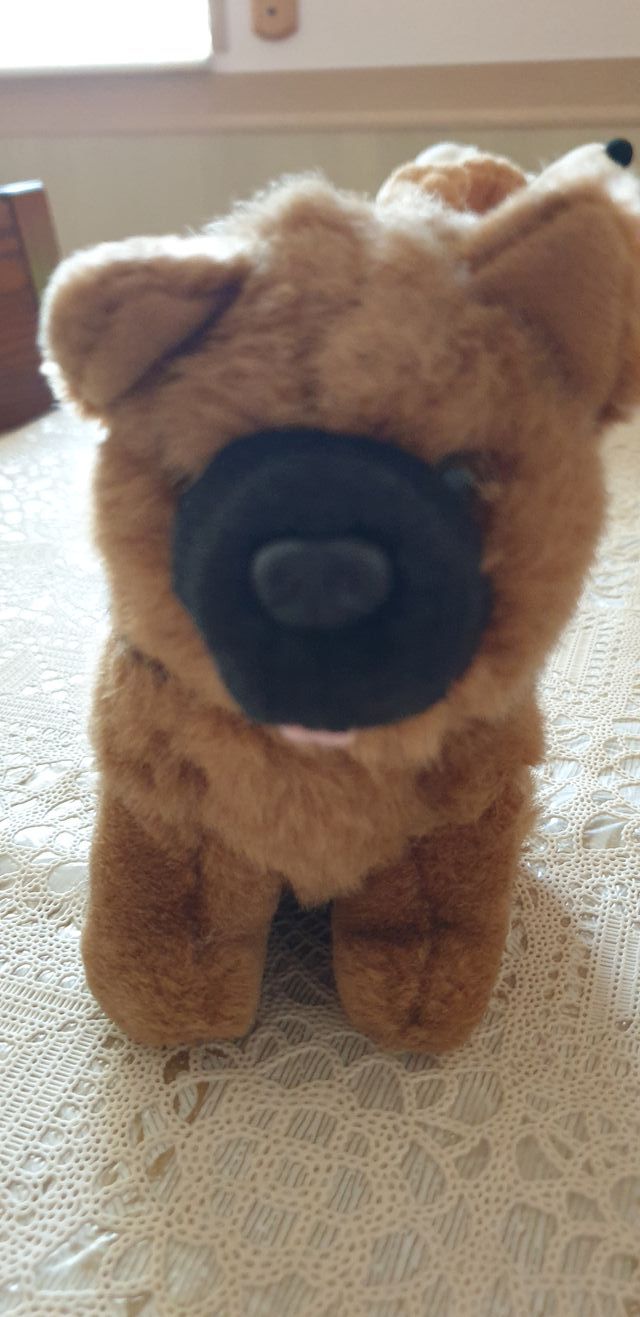 LOTTO N. 5 PELUCHES VARI