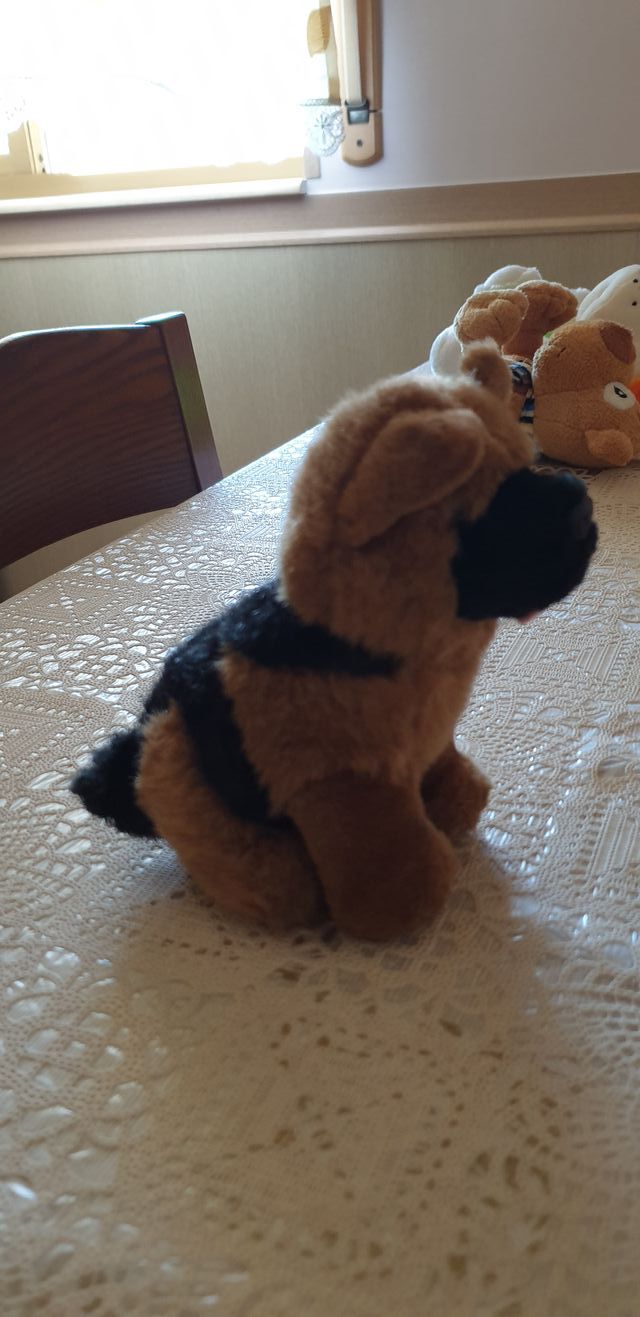 LOTTO N. 5 PELUCHES VARI