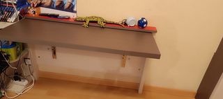 Cama y mesa escritorio abatibles