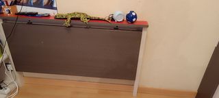 Cama y mesa escritorio abatibles