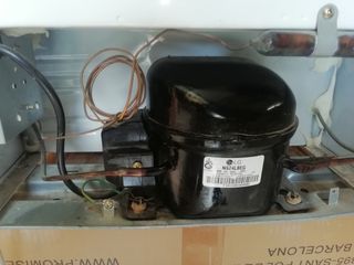 Mini nevera LG