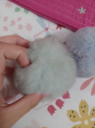 Llaveros de 2 modelos