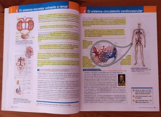 Libros Biología y Geología 3° ESO Bruño