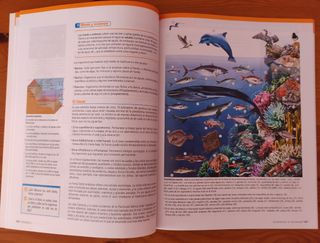 Libros Biología y Geología 3° ESO Bruño
