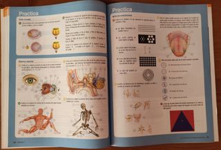 Libros Biología y Geología 3° ESO Bruño