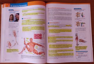 Libros Biología y Geología 3° ESO Bruño