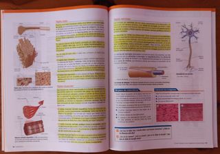 Libros Biología y Geología 3° ESO Bruño
