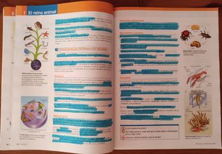 Libro Biología y Geología 1°ESO Bruño