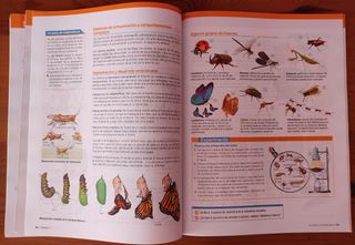 Libro Biología y Geología 1°ESO Bruño