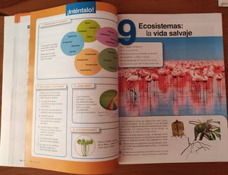 Libro Biología y Geología 1°ESO Bruño