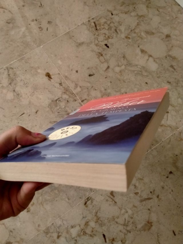 Libro "Il giorno della tempesta"