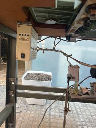 Maquina coser industrial