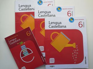Libro Lengua 6° Santillana 
