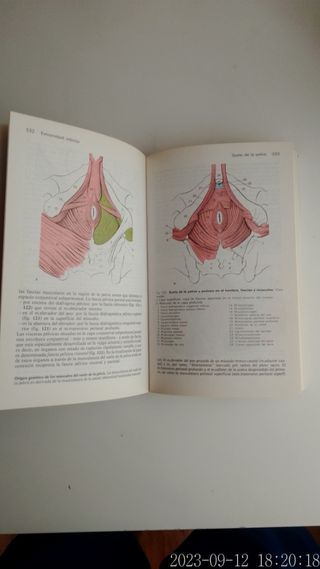 Manual de Anatomía Humana.H.Frick....