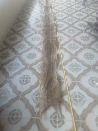Pieles serpiente