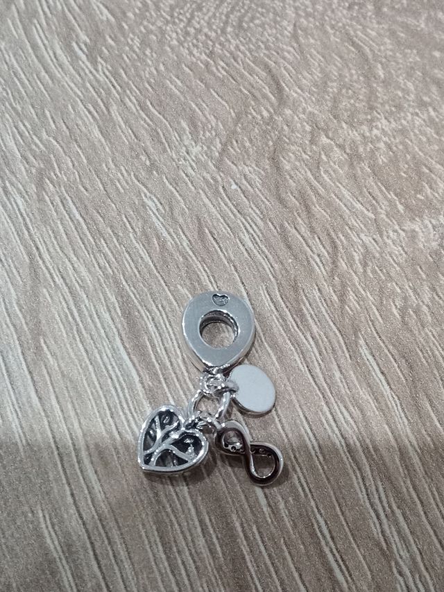 Charm familia infinita