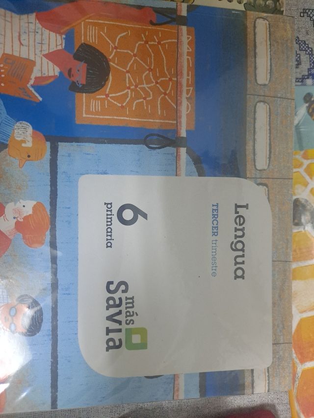 Libros sexto de primaria