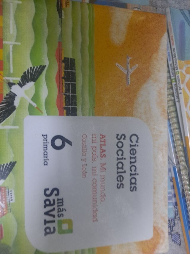 Libros sexto de primaria