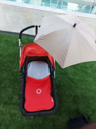 Bugaboo camaleón