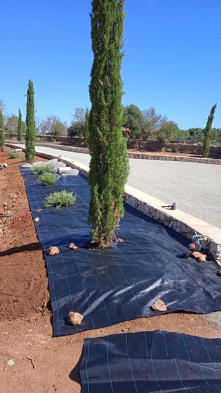 Jardinero Particular