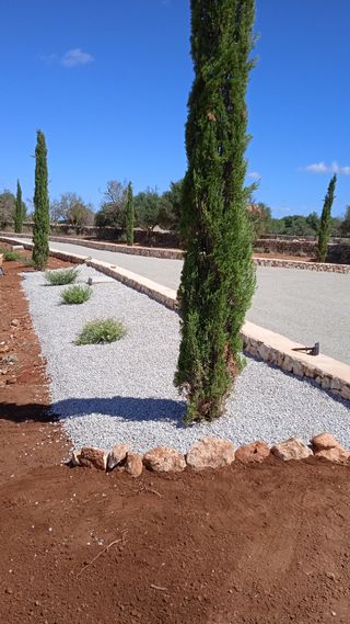 Jardinero Particular