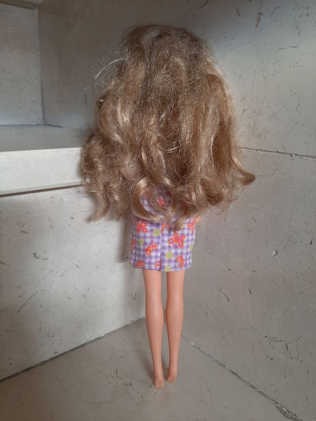 Barbie vestita dai folti capelli