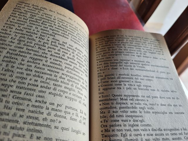 L'amante di Lady Chatterley