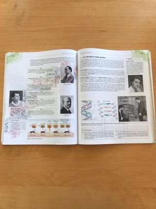 Cultura Científica. 1° Bachillerato