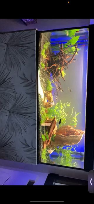 Acuario 170L COMPLETO