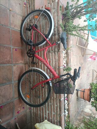 Bicicleta de paseo