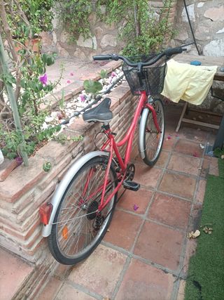 Bicicleta de paseo
