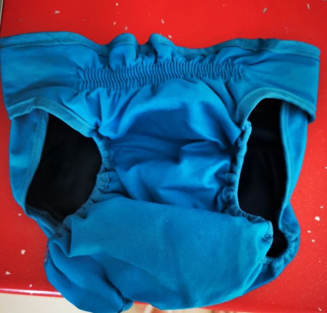 Braguitas celo perra