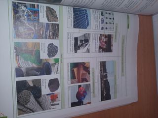 Biologia eta Geologia. Batxilergoa 1.